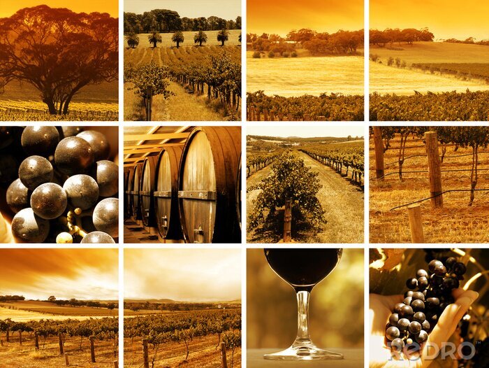 Sticker Weinberg-Aufnahme bei Sonnenuntergang