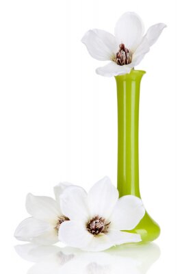 Weiße Blumen in einer grünen Vase