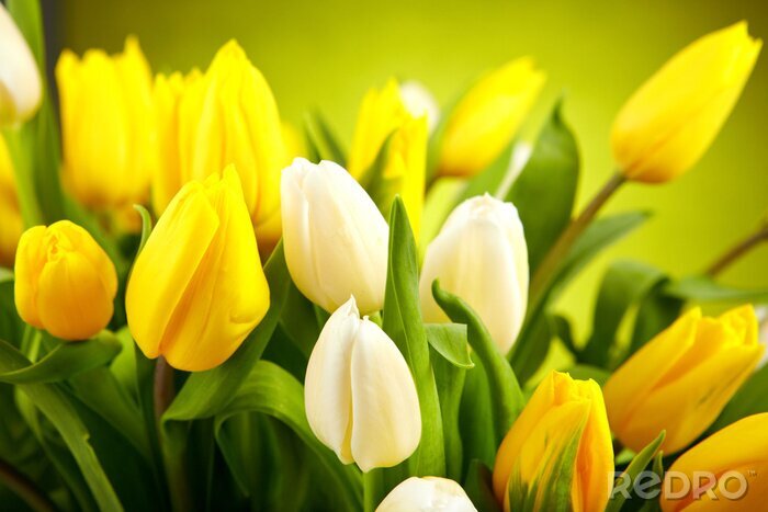 Sticker Weiße und gelbe Blumen