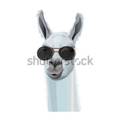 Sticker Weißes Lama mit schwarzer Brille