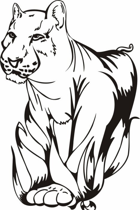 Sticker Wilde Tiere Panther schwarze Linien