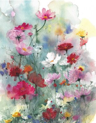 Wildflowers summer colorful flowers watercolor painting illustration isolated on white background