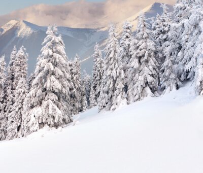 Winterliche Ansicht in den Bergen