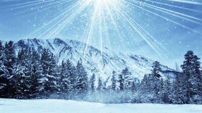 Sticker winterlichen Wald und magische Schneefall