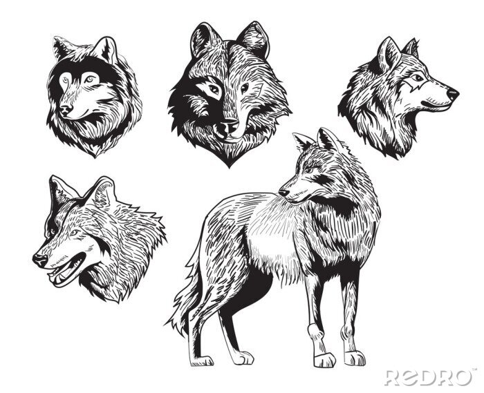 Sticker Wölfe unterschiedliche Gesichtsausdrücke Emotionen