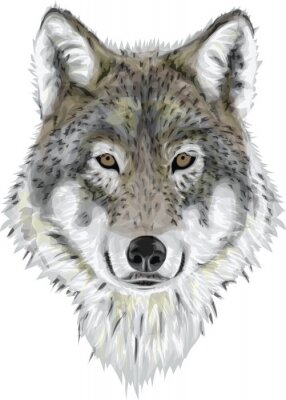 Wolf Aquarell hellbraune Augen