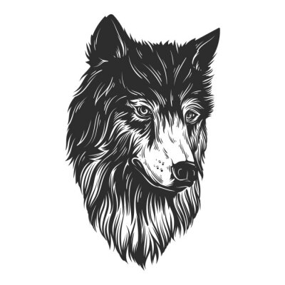 Sticker Wolf cartoonartig mit weißer Schnauze