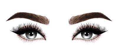 Sticker Woman eyes with long eyelashes. Hand drawn watercolor illustration. Eyelashes and eyebrows. Design for eyelash extensions, microblading, mascara, beauty salon, cosmetics, makeup artist. Black eyes.