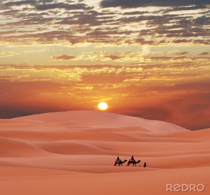 Sticker Wüste und Wohnwagen