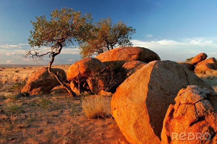 Sticker Wüstenlandschaft von Namibia