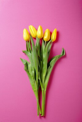 Sticker Fünf gelbe Tulpen auf einem rosa Hintergrund 