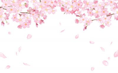 Sticker 桜と散る花びらのフレーム　水彩イラストトレースベクター