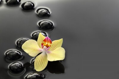 Sticker Schwarz Zen Steine ​​und Orchidee auf ruhigem Wasser Hintergrund