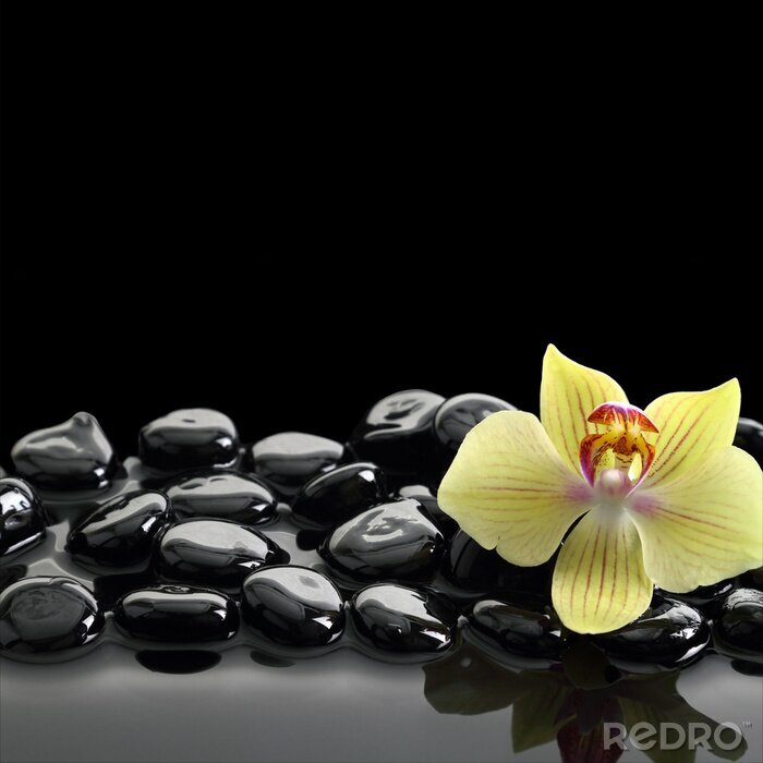 Sticker Schwarz Zen Steine ​​und Orchidee auf ruhigem Wasser Hintergrund
