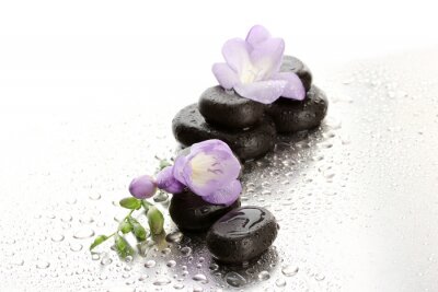 Sticker Spa Steine ​​und purpurrote Blume, auf nassen Hintergrund