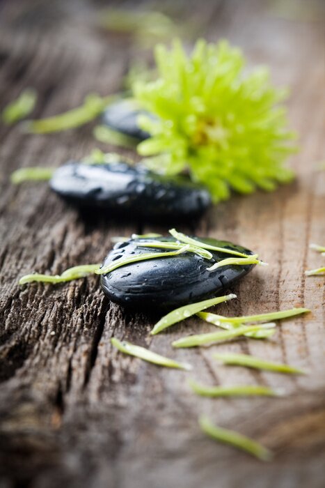 Sticker Steine ​​mit Wassertropfen