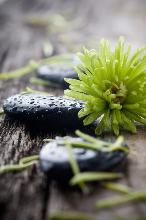 Sticker Steine ​​mit Wassertropfen