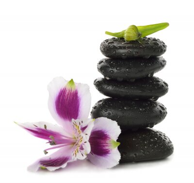 Sticker Steine ​​und Lilie