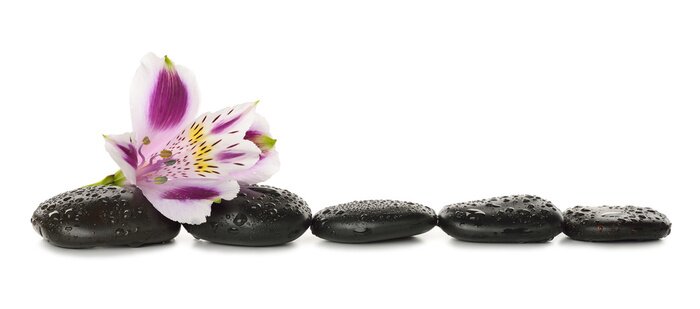 Sticker Steine ​​und Lilie