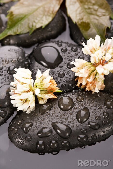 Sticker Zen-Steine ​​und Blätter mit Wassertropfen