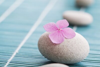 Sticker Zen Steine ​​und rosa Blumen