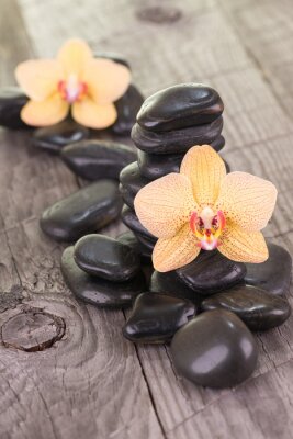 Sticker Yellow Moth Orchideen und schwarzen Steinen auf verwitterten Deck