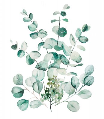 Sticker Zarte Eukalyptuszweige mit Blättern