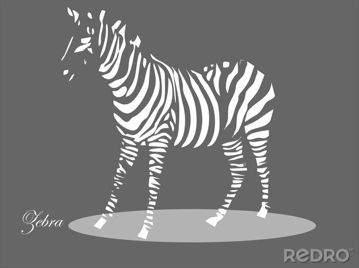 Sticker Zebra auf grauem Hintergrund