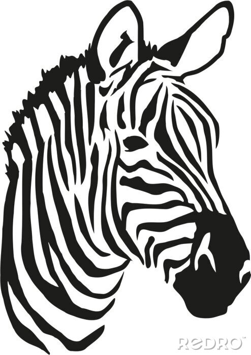 Sticker Zebra auf schwarz-weißer Grafik