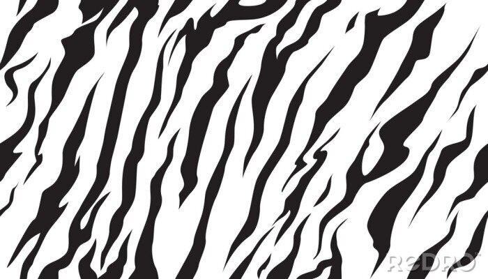 Sticker Zeichnung schwarz-weiß gestreiftes Zebra