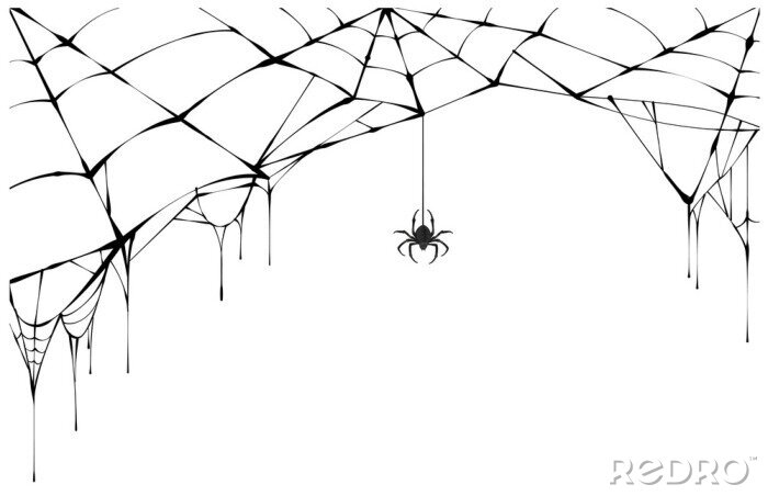 Sticker Zeichnung schwarz-weiße Spinne auf einem Netz