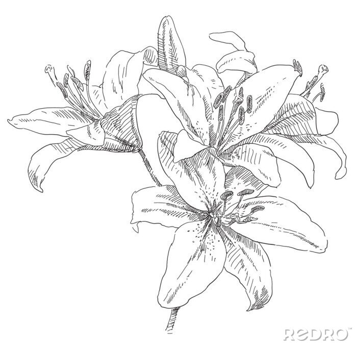 Sticker Zeichnung von vier Blumen