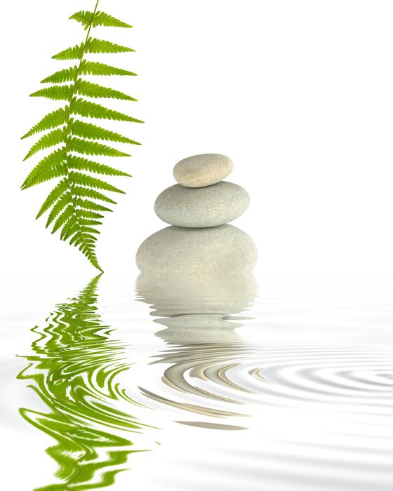 Sticker Zen Elements