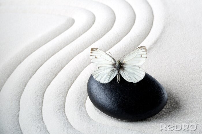 Sticker Zen-Stein mit Schmetterling