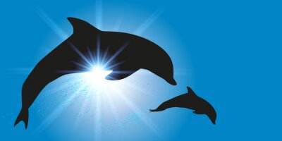 Sticker Zwei Delphine auf einem Sonnenhintergrund