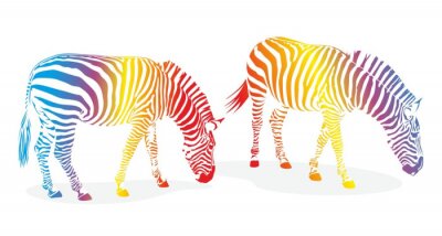 Sticker Zwei Regenbogenzebras