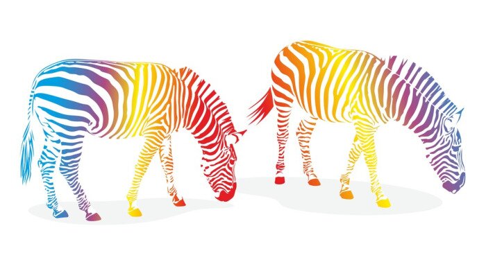 Sticker Zwei Regenbogenzebras