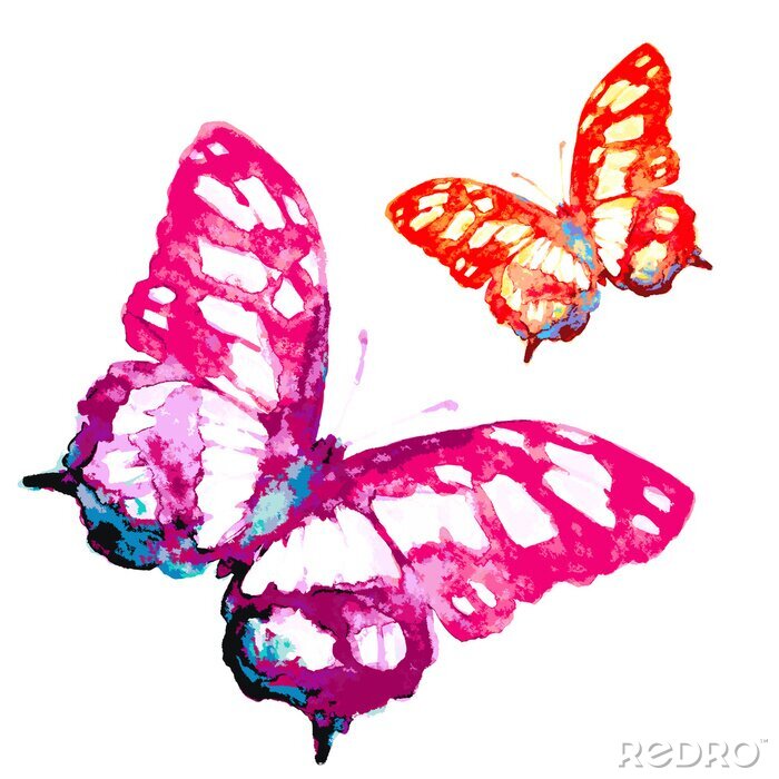 Sticker Zwei Schmetterlinge in Aquarell