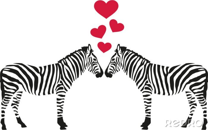 Sticker Zwei verliebte Zebras