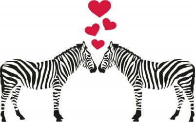 Sticker Zwei verliebte Zebras