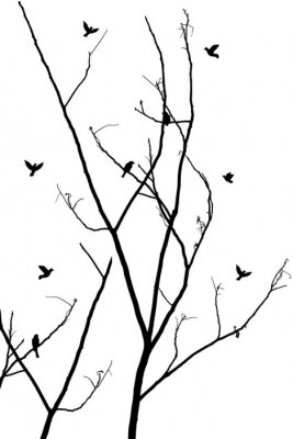 Sticker Zweige mit Vögeln