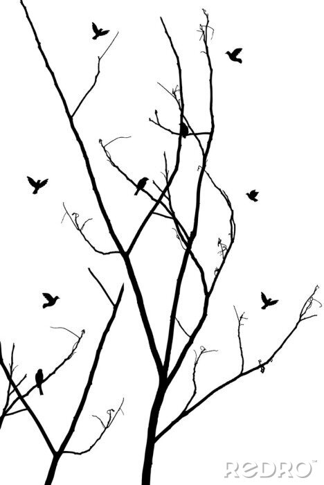 Sticker Zweige mit Vögeln