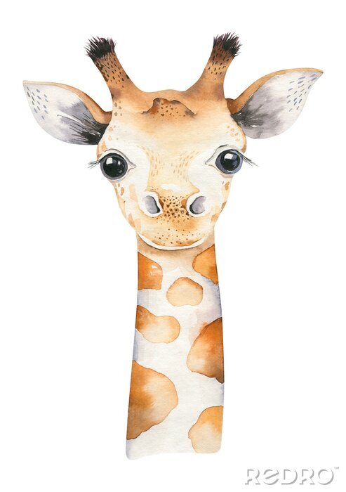 Tapete A poster with a baby giraffe. Watercolor cartoon giraffetropical animal illustration. Jungle exotic summer print.