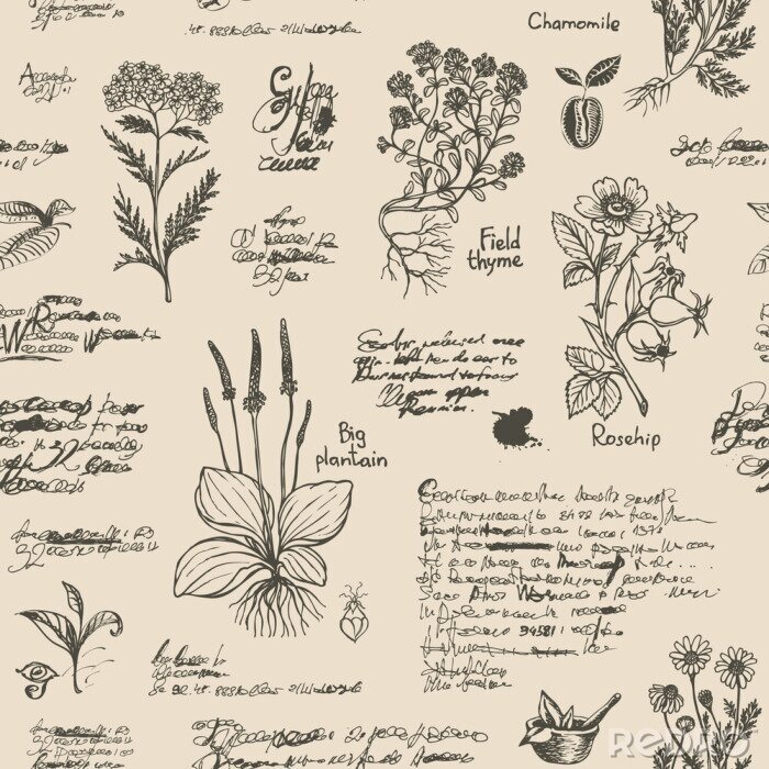 Tapete Altes Herbarium vintage