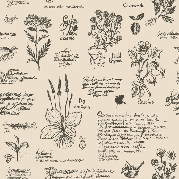 Tapete Altes Herbarium vintage