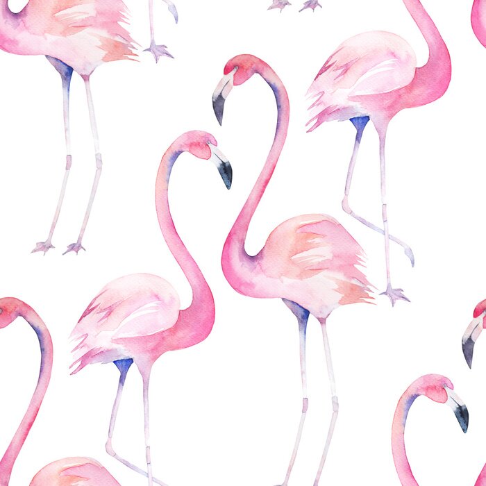 Tapete Aquarell-Flamingos auf weißem Hintergrund