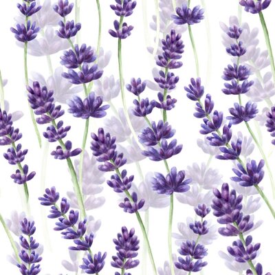 Tapete Aquarell Hand gezeichnet Lavendel nahtlose Muster Hintergrund