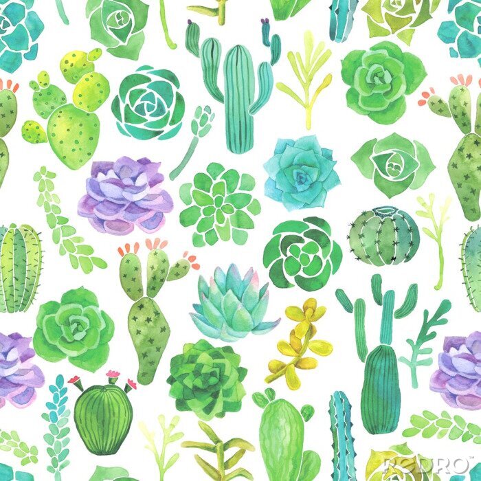 Tapete Aquarell Kaktus und sukkulenten nahtlose Muster