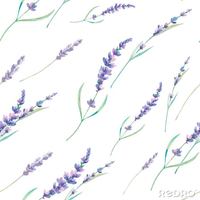 Tapete Aquarell Lavendel nahtlose Muster. Hand gezeichnet floral wiederholende Textur. Frühling Tapeten mit Blumen auf weißem Hintergrund