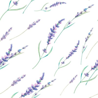 Tapete Aquarell Lavendel nahtlose Muster. Hand gezeichnet floral wiederholende Textur. Frühling Tapeten mit Blumen auf weißem Hintergrund